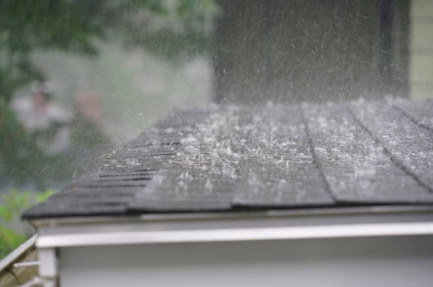 Best Cold Roofs  in Fairfax, VA